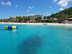 Tours en Jamaica