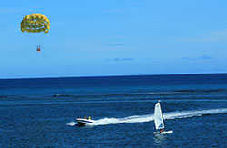 Tours en Jamaica
