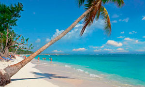 TourPunta Cana todo incluido (5 días)