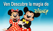 Tours en Disney World Orlando desde Lima